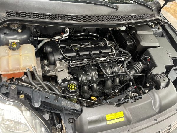 Ford Focus Style 1.6 - Imagen 13
